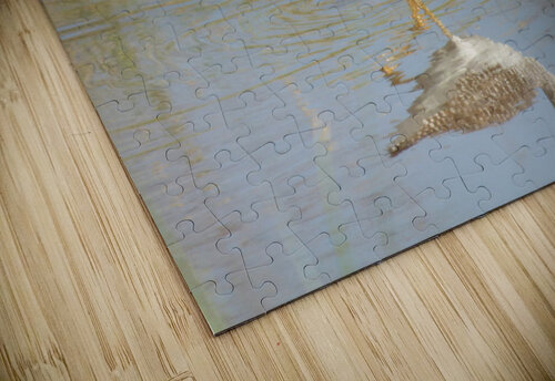lesser yellowlegs Kaleb Pults Wildlife photography puzzle