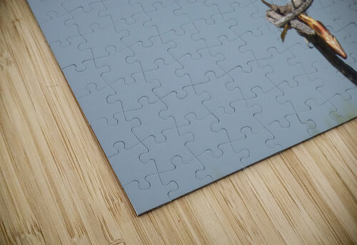 osprey triangled Kaleb Pults Wildlife photography puzzle