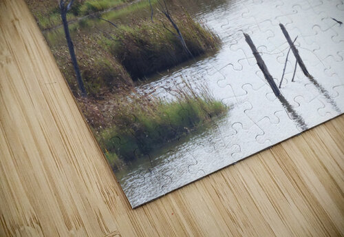 bitterlakes view Kaleb Pults Wildlife photography puzzle