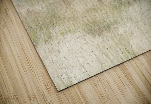 doe fixated Kaleb Pults Wildlife photography puzzle