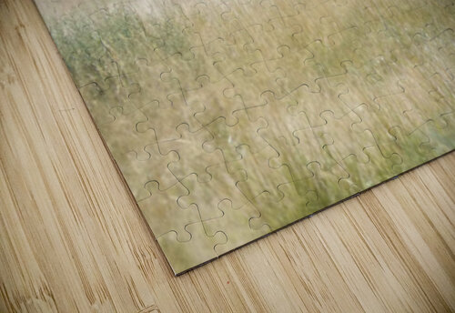 dusty fight Kaleb Pults Wildlife photography puzzle