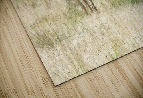 1 buck 2 does Kaleb Pults Wildlife photography puzzle