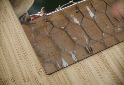 Sparrows on the coup Kaleb Pults Wildlife photography puzzle