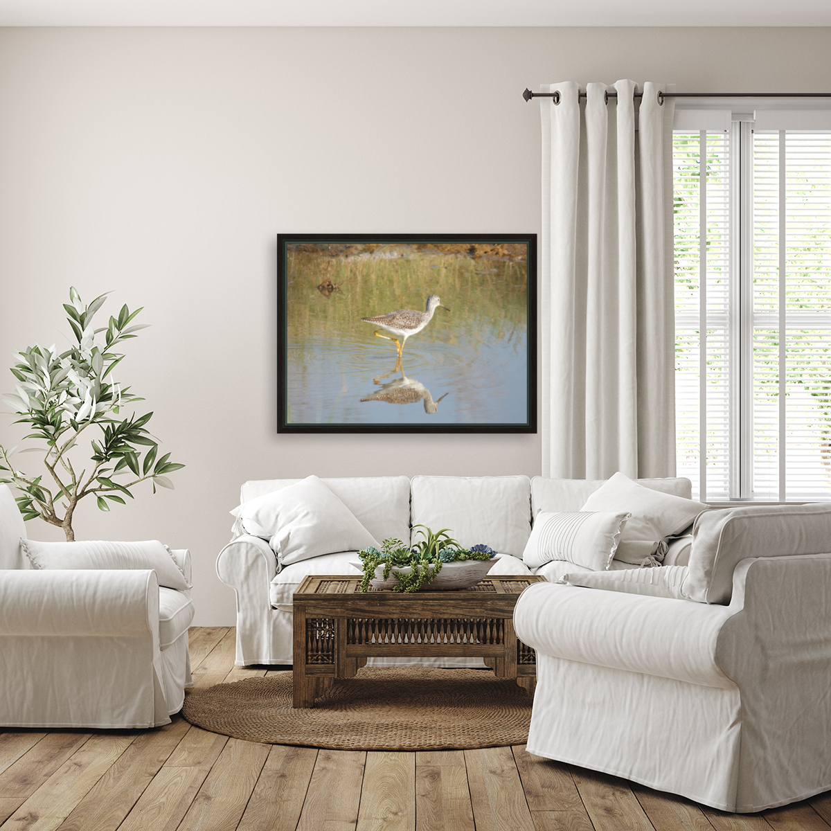 lesser yellowlegs Reproduction