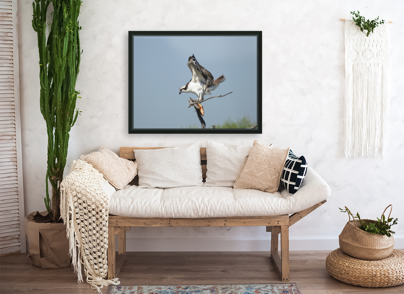 osprey triangled Reproduction