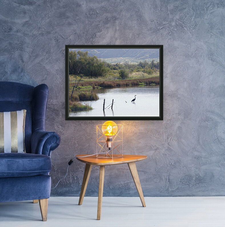 bitterlakes view Reproduction