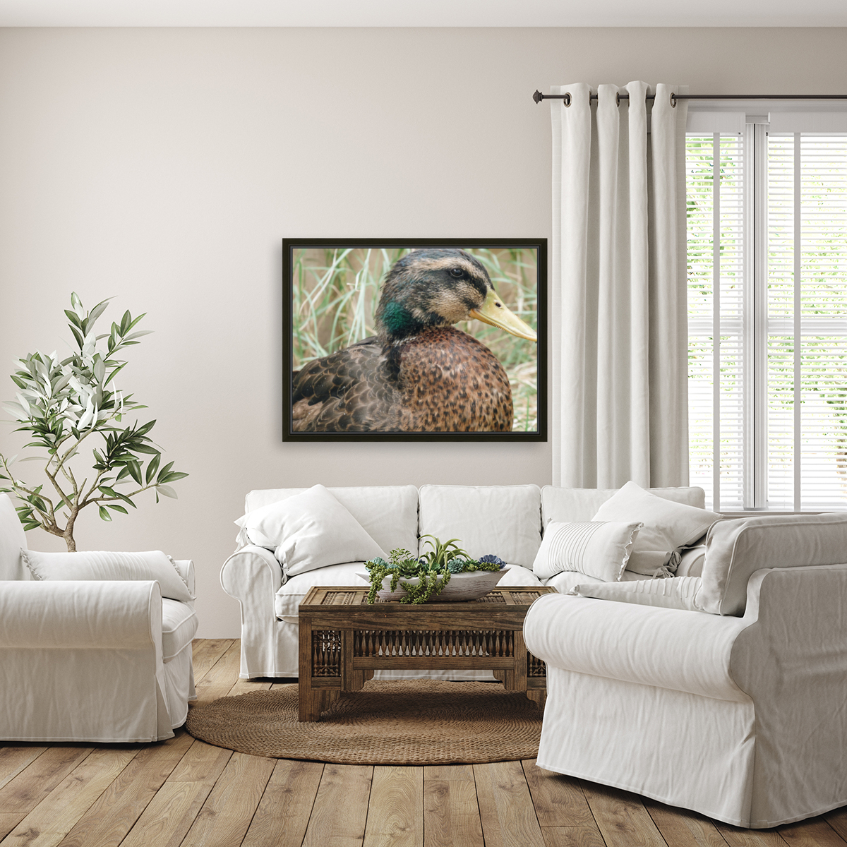 Rouen Drake Reproduction