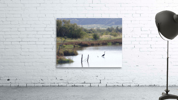 bitterlakes view Wall Preview