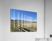 IMG 8096 Acrylic Print