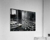 IMG 8124 Acrylic Print