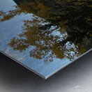 IMG 8279 Metal print