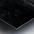 IMG 8124 Metal print