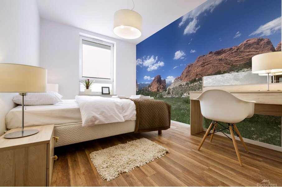 IMG 4153 Mural print