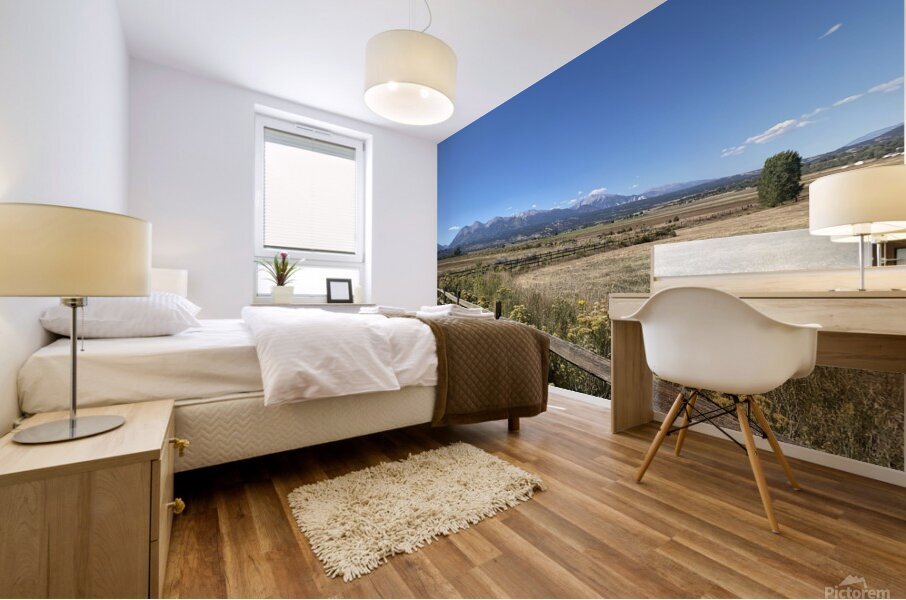 IMG 8096 Mural print