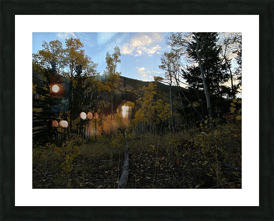 IMG 8279 Picture Frame print