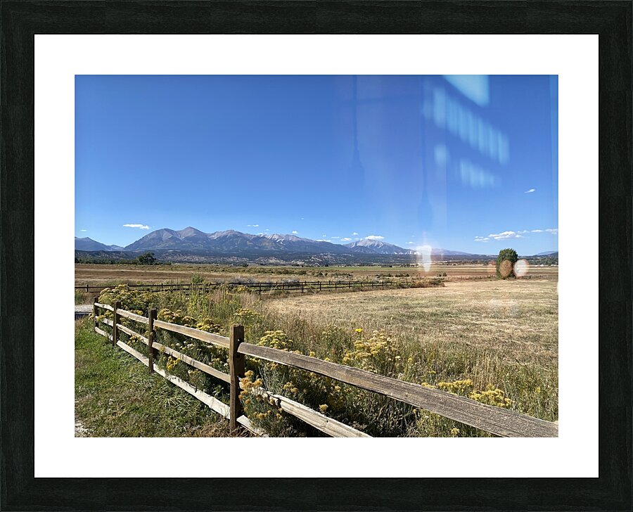 IMG 8096 Picture Frame print