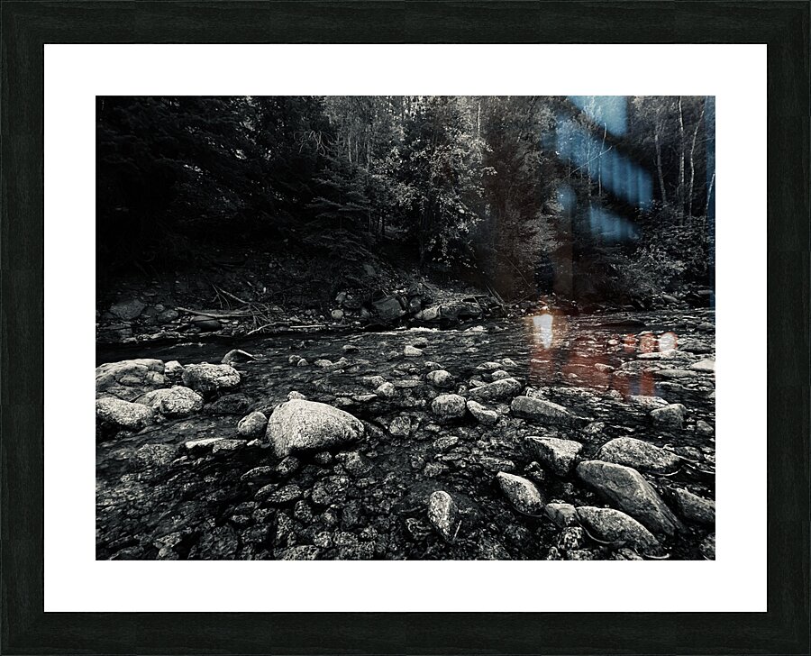 IMG 8124 Picture Frame print