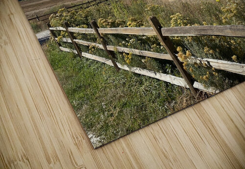 IMG 8096 Ox photography puzzle