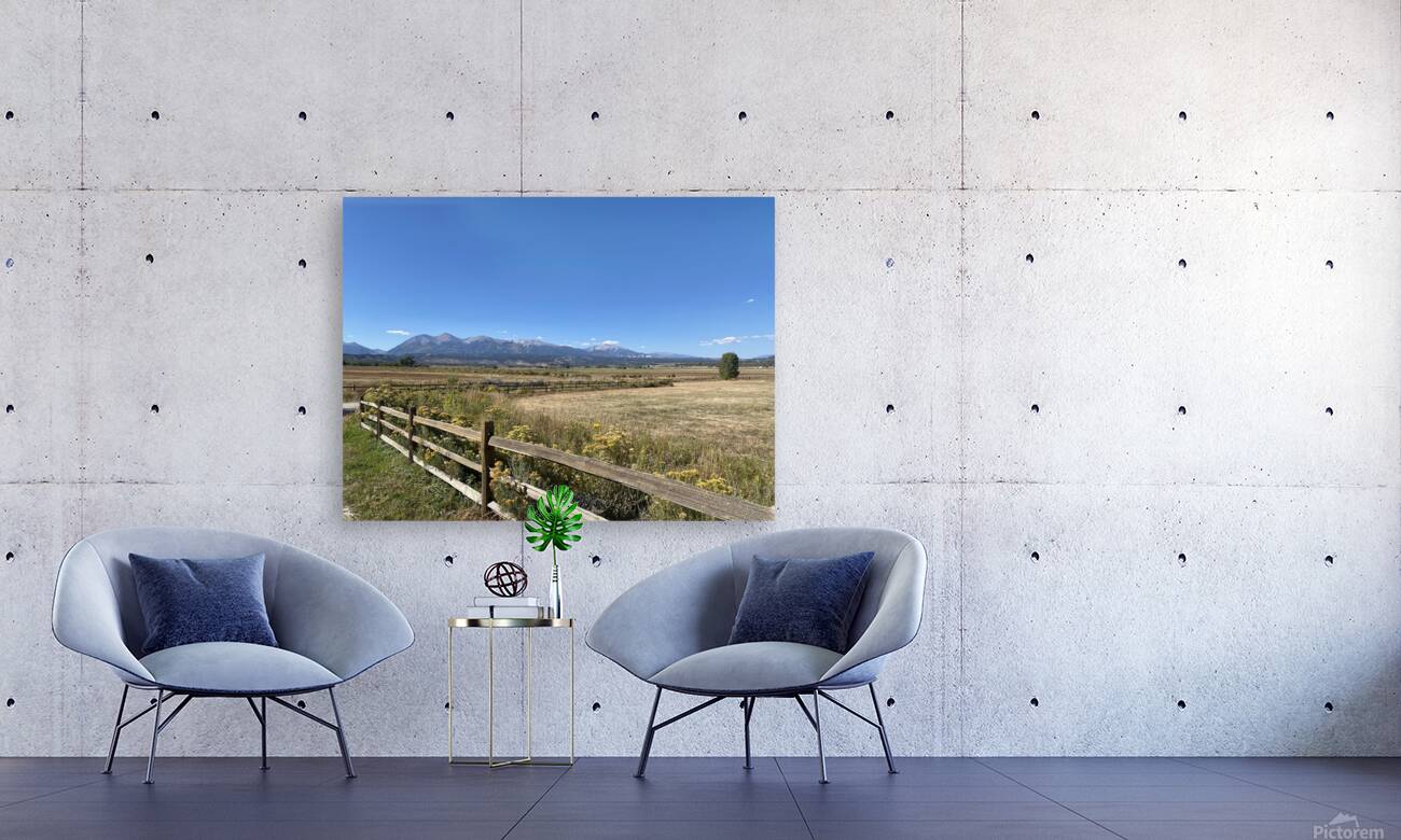 IMG 8096 Reproduction