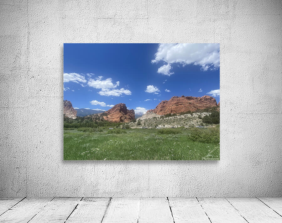 IMG 4153 Wall Preview