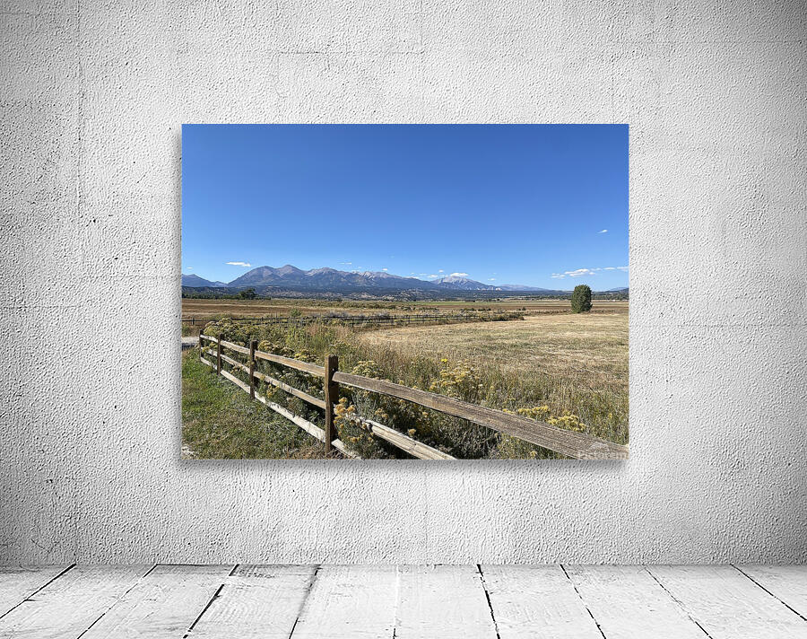 IMG 8096 Wall Preview