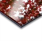 automne 2 Acrylic print