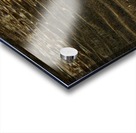 eau 1 Acrylic print