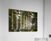 automne 3 Acrylic Print