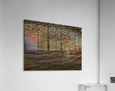 eau 1 Acrylic Print