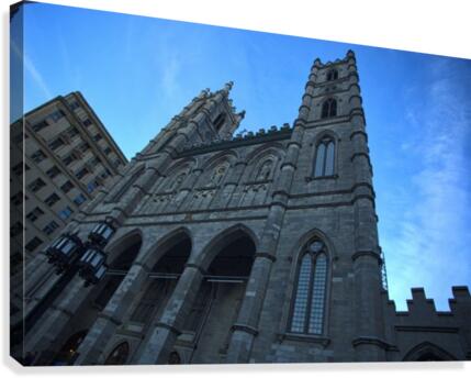 basilique notre dame  Canvas Print