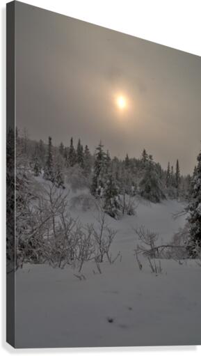 sous la neige Canvas Print