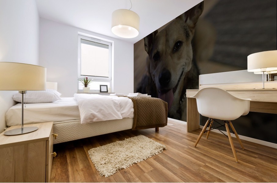 zya Mural print