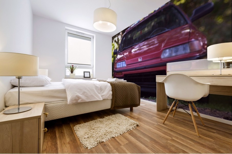 crx Mural print