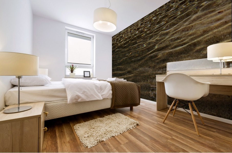 eau 1 Mural print