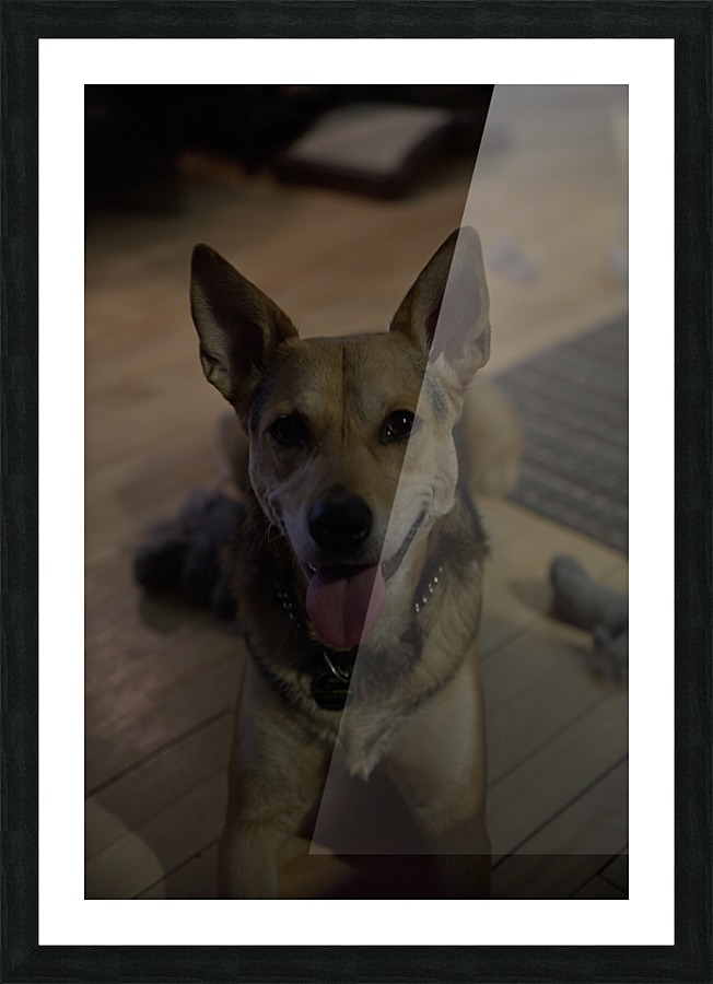 zya Picture Frame print
