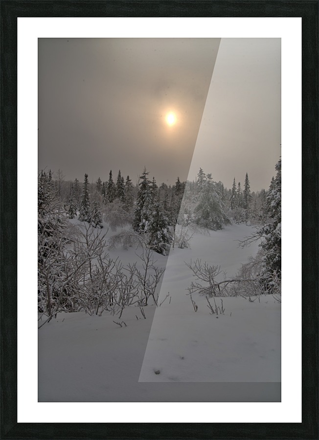 sous la neige Picture Frame print