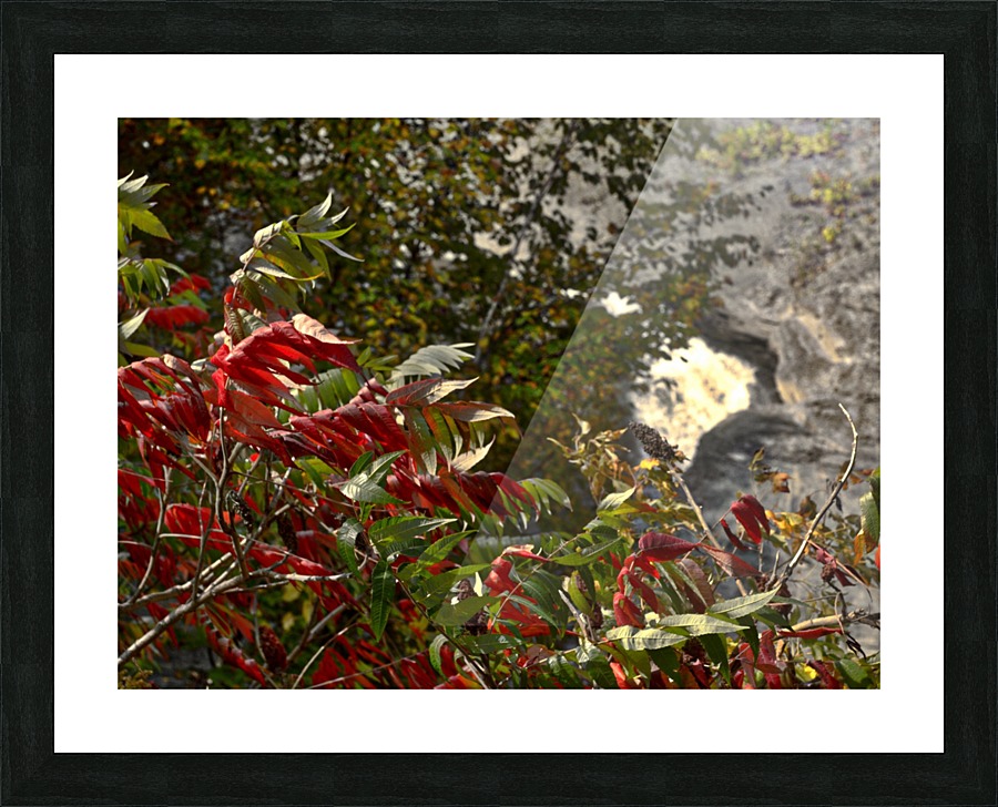 automne 1 Picture Frame print