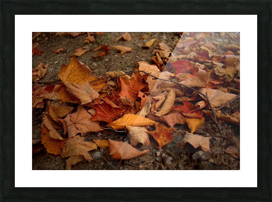 automne 4 Picture Frame print