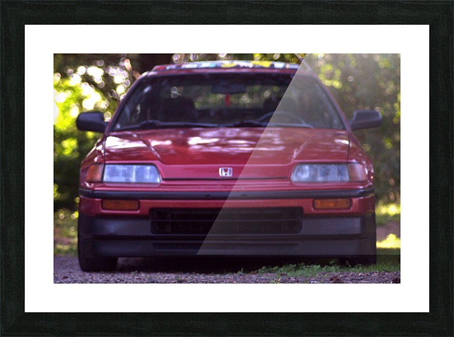 crx Picture Frame print