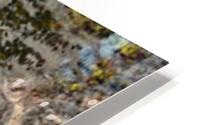 automne 1 HD Metal print