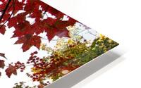 automne 2 HD Metal print
