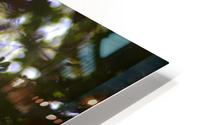 automne 3 HD Metal print