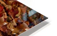 automne 4 HD Metal print
