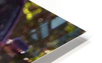 crx HD Metal print