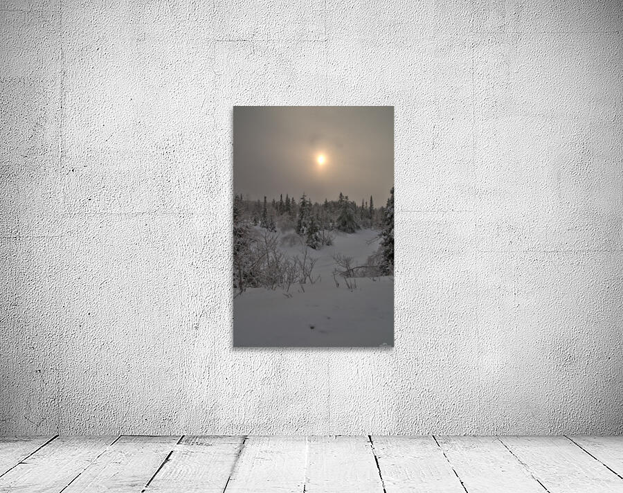 sous la neige Wall Preview