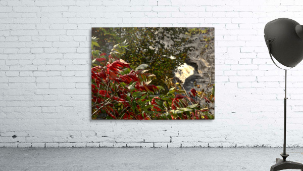 automne 1 Wall Preview