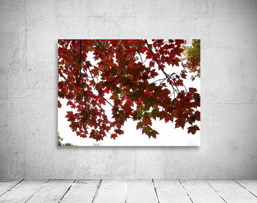 automne 2 Wall Preview