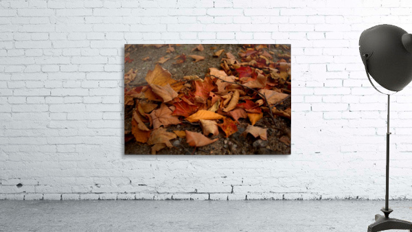automne 4 Wall Preview
