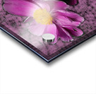 Peony Flowers Acrylic print