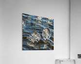 Winter Creations III Acrylic Print